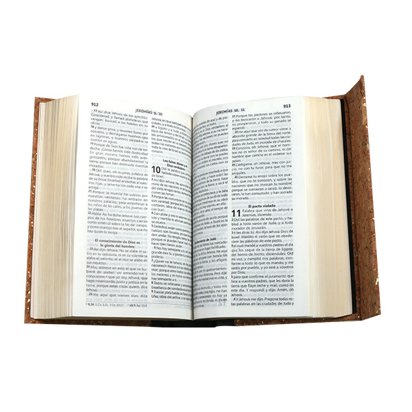 Biblia Reina Valera 1960 Chica Letra Grande Corcho Magnetico [RVR043cLG CP] 