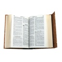 Biblia Reina Valera 1960 Chica Letra Grande Corcho Magnetico [RVR043cLG CP] 