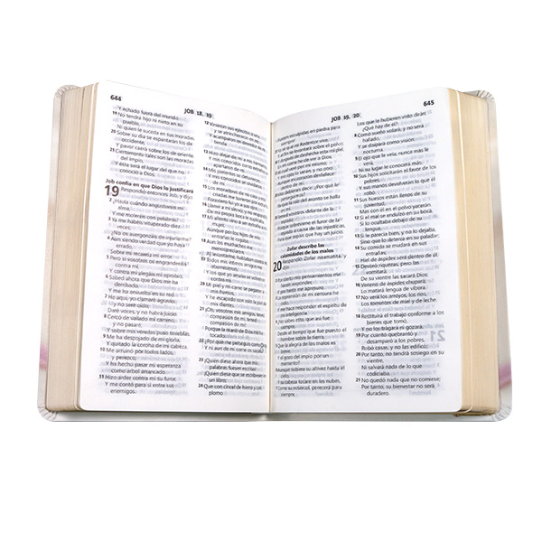 Biblia Reina Valera 1960 Mediana Letra Grande Vinil Anillos [RVR065LG WR] 