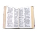 Biblia Reina Valera 1960 Mediana Letra Grande Vinil Anillos [RVR065LG WR] 