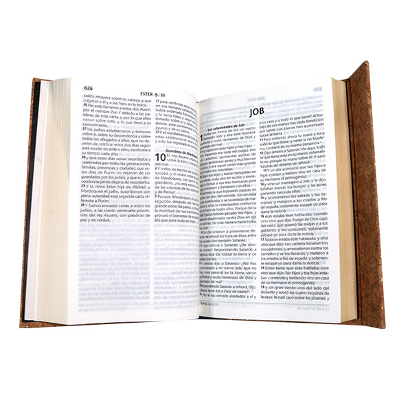 Biblia Reina Valera 1960 Mediana Letra Grande Corcho Magnético [RVR063LG CP] 