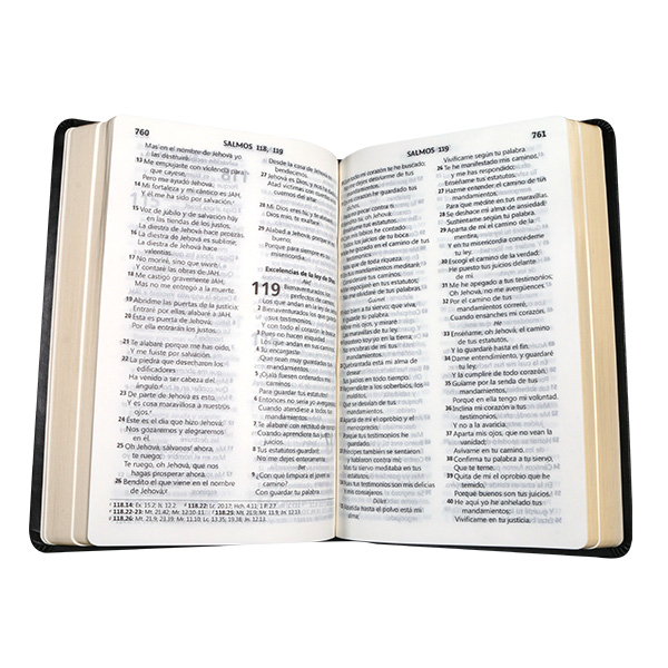 Biblia Reina Valera 1960 Mediana Letra Grande Tapa Dura Negro [RVR063LG GB] 