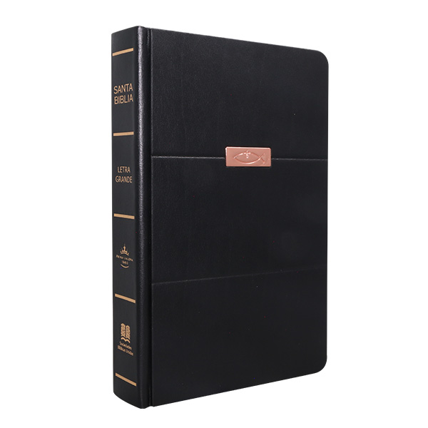 Biblia Reina Valera 1960 Mediana Letra Grande Tapa Dura Negro [RVR063LG GB] 