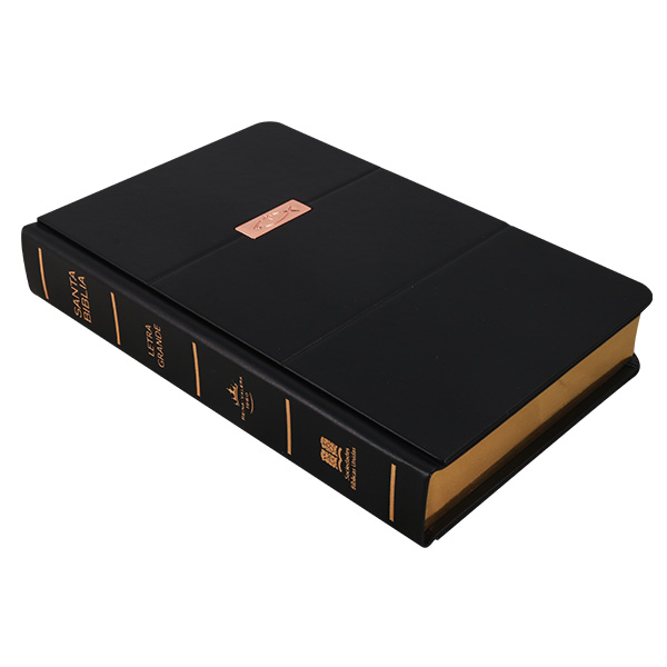 Biblia Reina Valera 1960 Mediana Letra Grande Tapa Dura Negro [RVR063LG GB] 