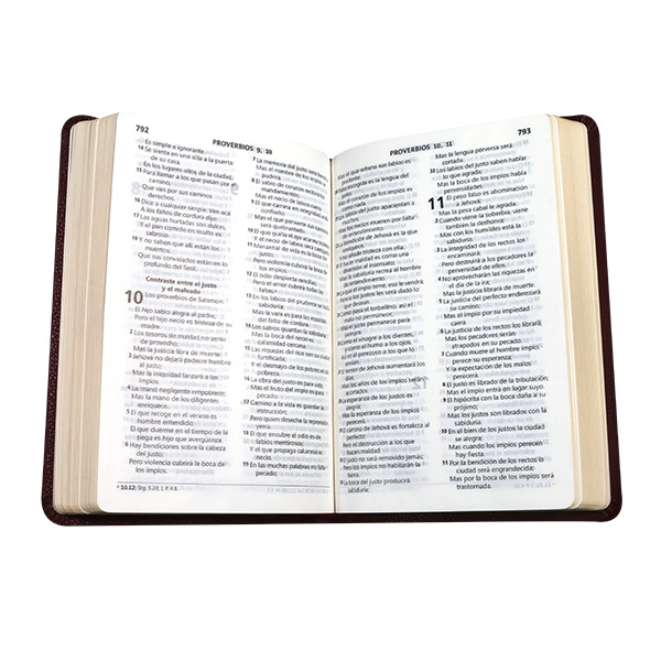 Biblia Reina Valera 1960 Mediana Letra Grande Imitación Piel Vino [RVR065LG CV] 