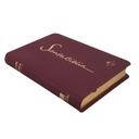 Biblia Reina Valera 1960 Mediana Letra Grande Imitación Piel Vino [RVR065LG CV] 