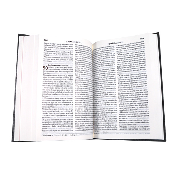 Biblia Reina Valera 1960 Mediana Letra Grande Tapa Dura Gris [RVR063LG PY] 