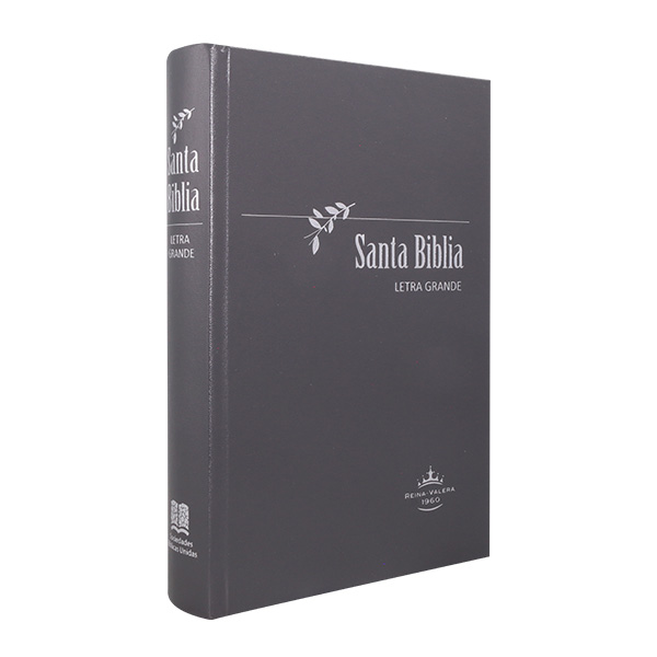 Biblia Reina Valera 1960 Mediana Letra Grande Tapa Dura Gris [RVR063LG PY] 
