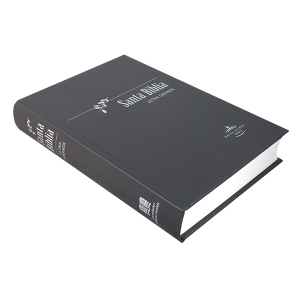 Biblia Reina Valera 1960 Mediana Letra Grande Tapa Dura Gris [RVR063LG PY] 
