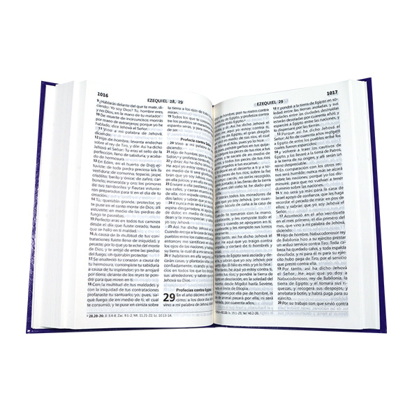Biblia Reina Valera 1960 Mediana Letra Grande Tapa Dura Púrpura [RVR063LG PY] 