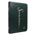 Biblia Reina Valera 1960 Mediana Letra Grande Imitación Piel Verde Oscuro [ RVR065LG CV] 