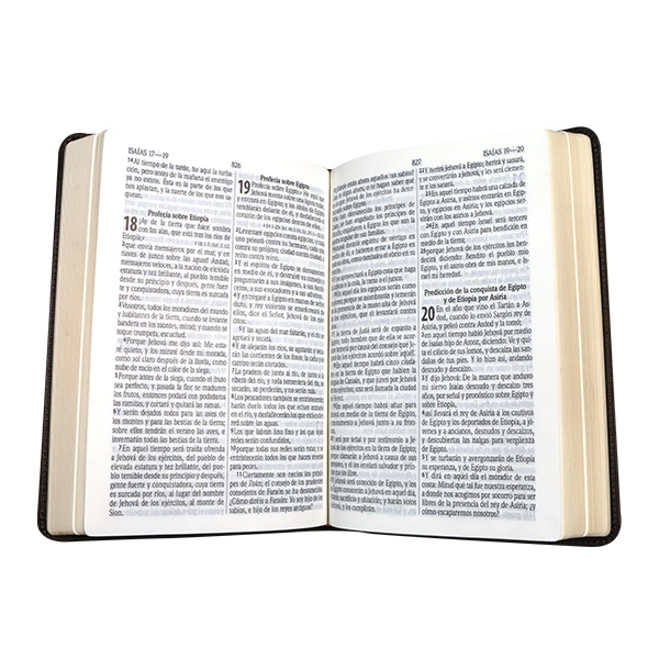 Biblia Pastoral Reina Valera 1960 Mediana Letra Grande Imitación Piel Azul [RVR065cLG] 