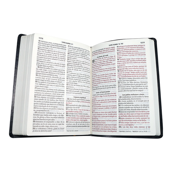Biblia Reina Valera 1960 Grande Letra Gigante Imitación Piel Azul Marino [RVR085cLGIPJR SL] 