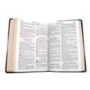 Biblia Reina Valera 1960 Grande Letra Gigante Imitación Piel Café [RVR085cLGIPJR SL] 