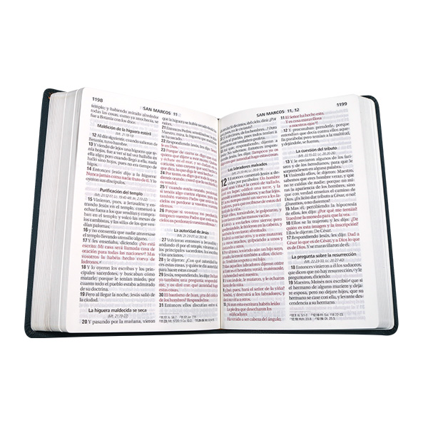 Biblia Reina Valera 1960 Grande Letra Gigante Imitación Piel Turquesa Oscuro [RVR085cLGIPJR SL] 