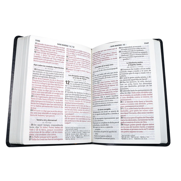 Biblia Reina Valera 1960 Grande Letra Gigante Imitación Piel Verde Oscuro hojas [RVR085cLGIPJR AZ] 