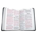 Biblia Reina Valera 1960 Grande Letra Gigante Imitación Piel Verde Oscuro hojas [RVR085cLGIPJR AZ] 