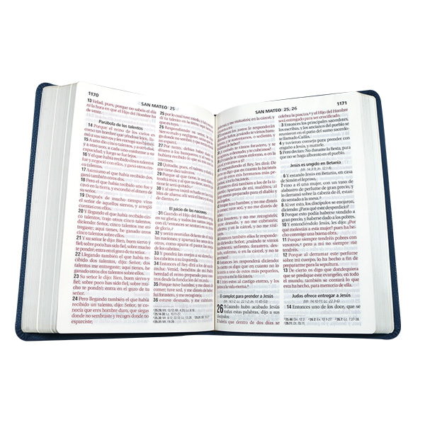 Biblia Reina Valera 1960 Grande Letra Gigante Imitación Piel Azul hojas [RVR085cLGIPJR AZ] 