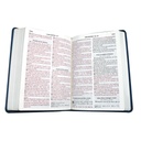 Biblia Reina Valera 1960 Grande Letra Gigante Imitación Piel Azul hojas [RVR085cLGIPJR AZ] 