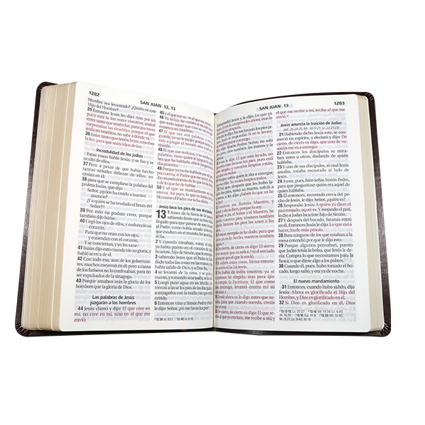Biblia Reina Valera 1960 Grande Letra Gigante Imitación Piel Vino Hojas [RVR085cLGIPJR AZ] 