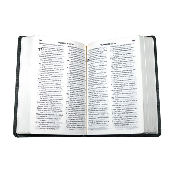 Biblia Reina Valera 1960 Mediana Letra Grande Imitación Piel Verde Oscuro [RVR065CLG CL] 