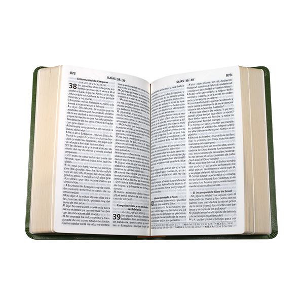 Biblia Reina Valera 1960 Mediana Letra Grande Imitación Piel Verde Claro [RVR065CLG CL] 