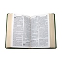 Biblia Reina Valera 1960 Mediana Letra Grande Imitación Piel Verde Claro [RVR065CLG CL] 