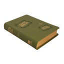 Biblia Reina Valera 1960 Mediana Letra Grande Imitación Piel Verde Claro [RVR065CLG CL] 