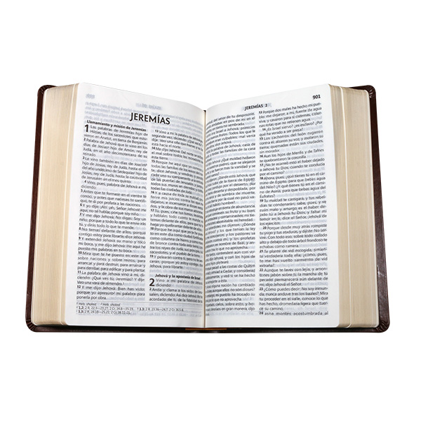 Biblia Reina Valera 1960 Mediana Letra Grande Imitación Piel Café [RVR065CLG CL] 