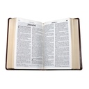 Biblia Reina Valera 1960 Mediana Letra Grande Imitación Piel Café [RVR065CLG CL] 