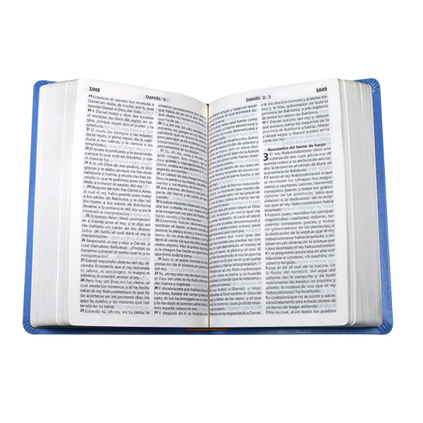 Biblia Reina Valera 1960 Mediana Letra Grande Imitación Piel Celeste [RVR065CLG CL] 