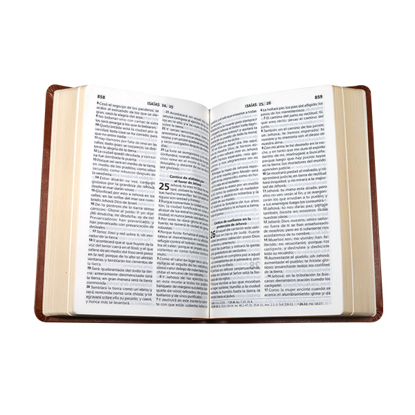 Biblia Reina Valera 1960 Mediana Letra Grande Imitación Piel Café [RVR065CLG WS] 
