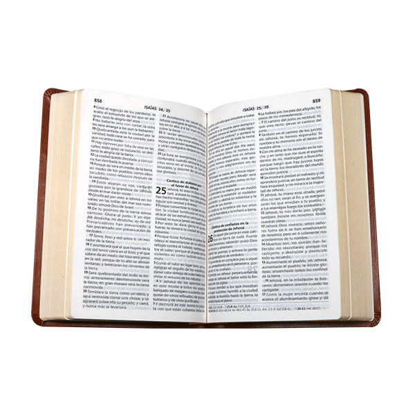 Biblia Reina Valera 1960 Mediana Letra Grande Imitación Piel Vino [RVR065CLG WS] 