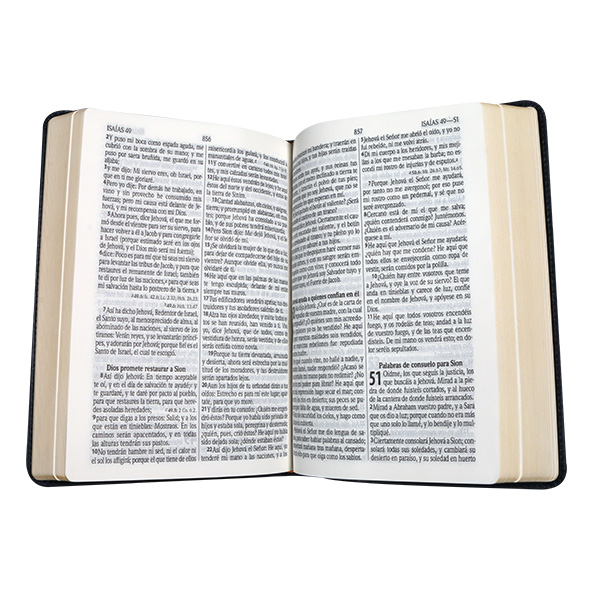 Biblia Reina Valera 1960 Mediana Letra Grande Vinil Vino [RVR062CLG JB] 