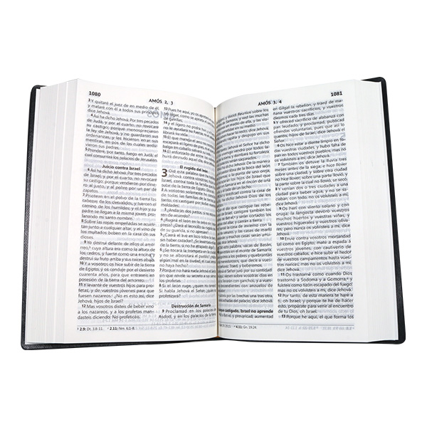 Biblia Reina Valera 1960 Mediana Letra Grande Vinil Café [RVR062CLG JB] 