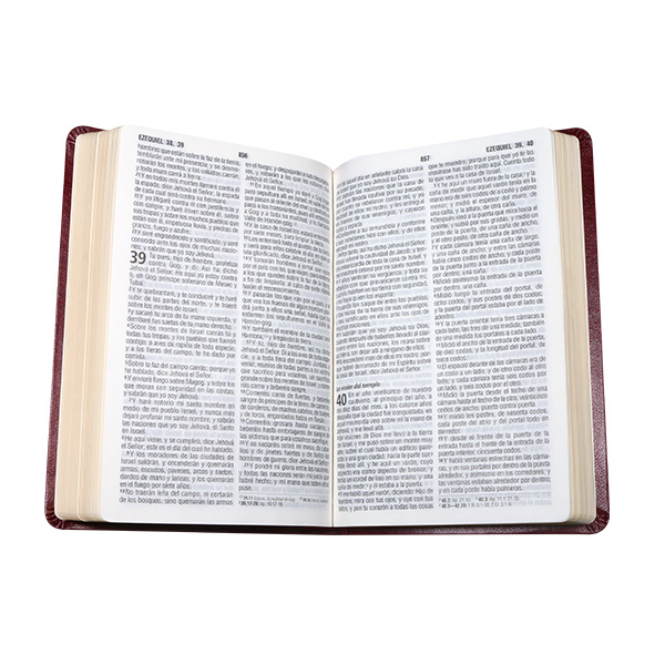 Biblia Reina Valera 1960 Mediana Letra Grande Imitación Piel Vino [RVR065cLG PE SP] 