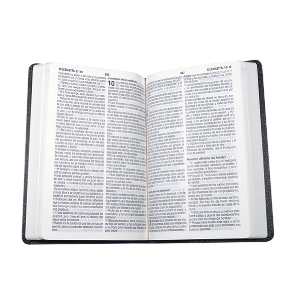 Biblia Reina Valera 1960 Mediana Letra Grande Imitación Piel Gris [RVR065cLG PE SP] 