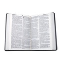 Biblia Reina Valera 1960 Mediana Letra Grande Imitación Piel Gris [RVR065cLG PE SP] 