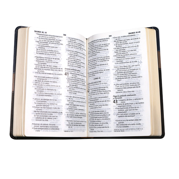 Biblia Reina Valera 1960 Mediana Letra Grande Imitación Piel Azul Beige [RVR065cLG PE LM] 