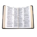 Biblia Reina Valera 1960 Mediana Letra Grande Imitación Piel Azul Beige [RVR065cLG PE LM] 