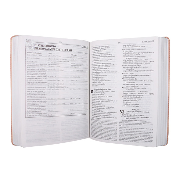 Biblia de Estudio Exégesis Reina Valera 1995 Grande Letra Mediana Imitación Piel Beige [RVR95086EEcLM] 