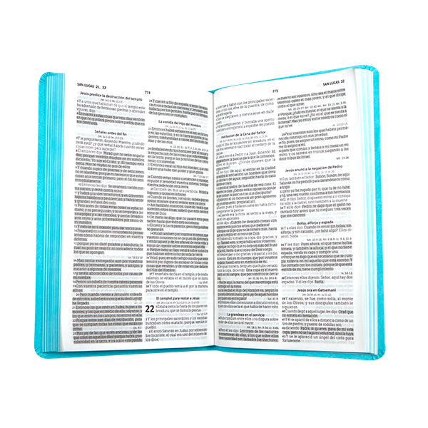 Biblia Reina Valera 1960 Mediana Letra Mediana Imitación Piel Verde Menta [RVR066eLM]