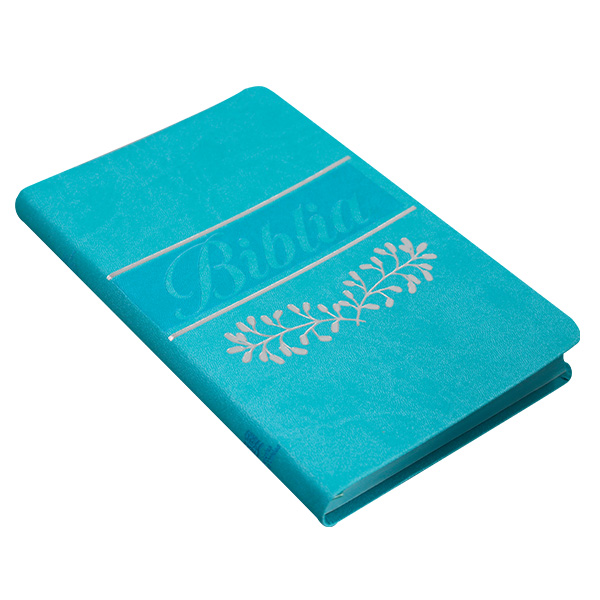 Biblia Reina Valera 1960 Mediana Letra Mediana Imitación Piel Verde Menta [RVR066eLM]