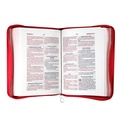Biblia Reina Valera 1960 Chica Letra Chica Imitación piel Rosa Código QR [RVR046cZLMPJR]