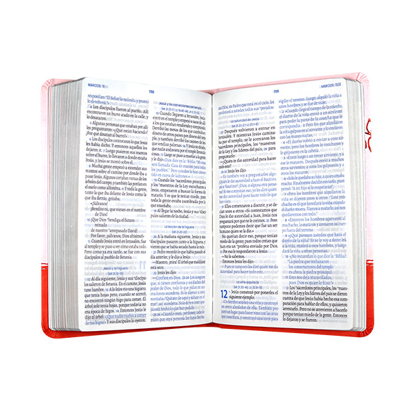 Biblia Valiosa Traducción Lenguaje Actual Mediana Letra Grande Imitación piel Rosa Rojo [TLA066LGPJR] 