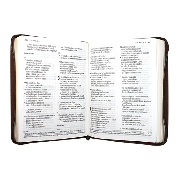 Biblia Dios Habla Hoy Grande Letra Gigante Imitación Piel Café Código QR [DHH085DKZLGi] 