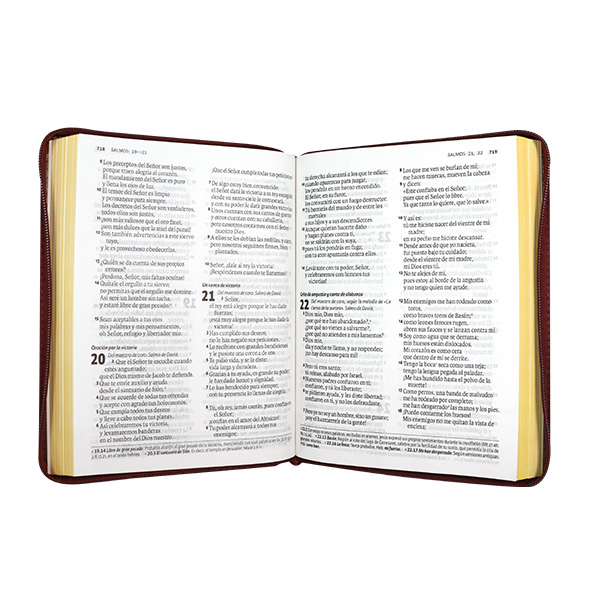 Biblia Dios Habla Hoy Grande Letra Gigante Imitación Piel Café Acolchada Código QR [DHH085DKZLGia] 