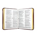 Biblia Dios Habla Hoy Grande Letra Gigante Imitación Piel Café Acolchada Código QR [DHH085DKZLGia] 