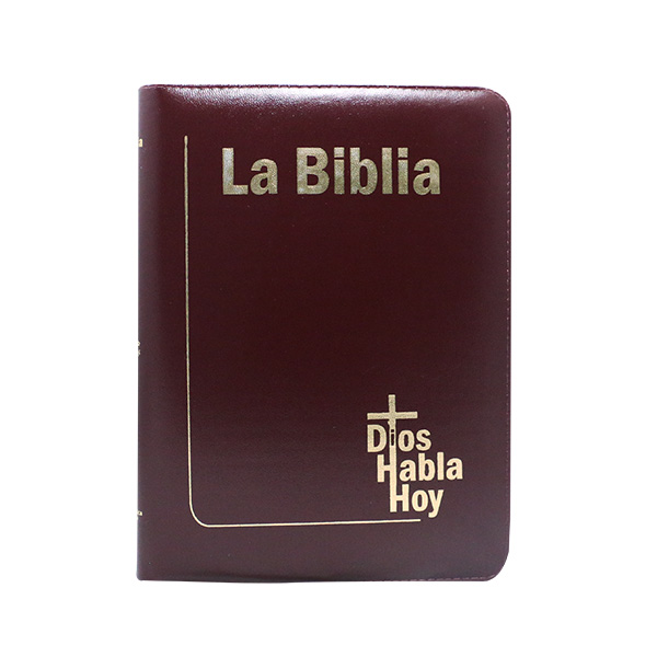 Biblia Dios Habla Hoy Grande Letra Gigante Imitación Piel Café Acolchada Código QR [DHH085DKZLGia] 