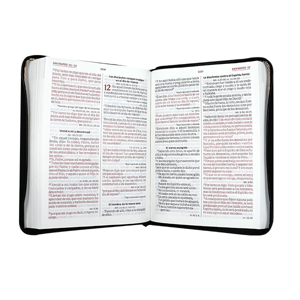 Biblia Reina Valera 1960 Grande Letra Gigante Imitación Piel Beige Negro Código QR [RVR085cZLGiPJR]